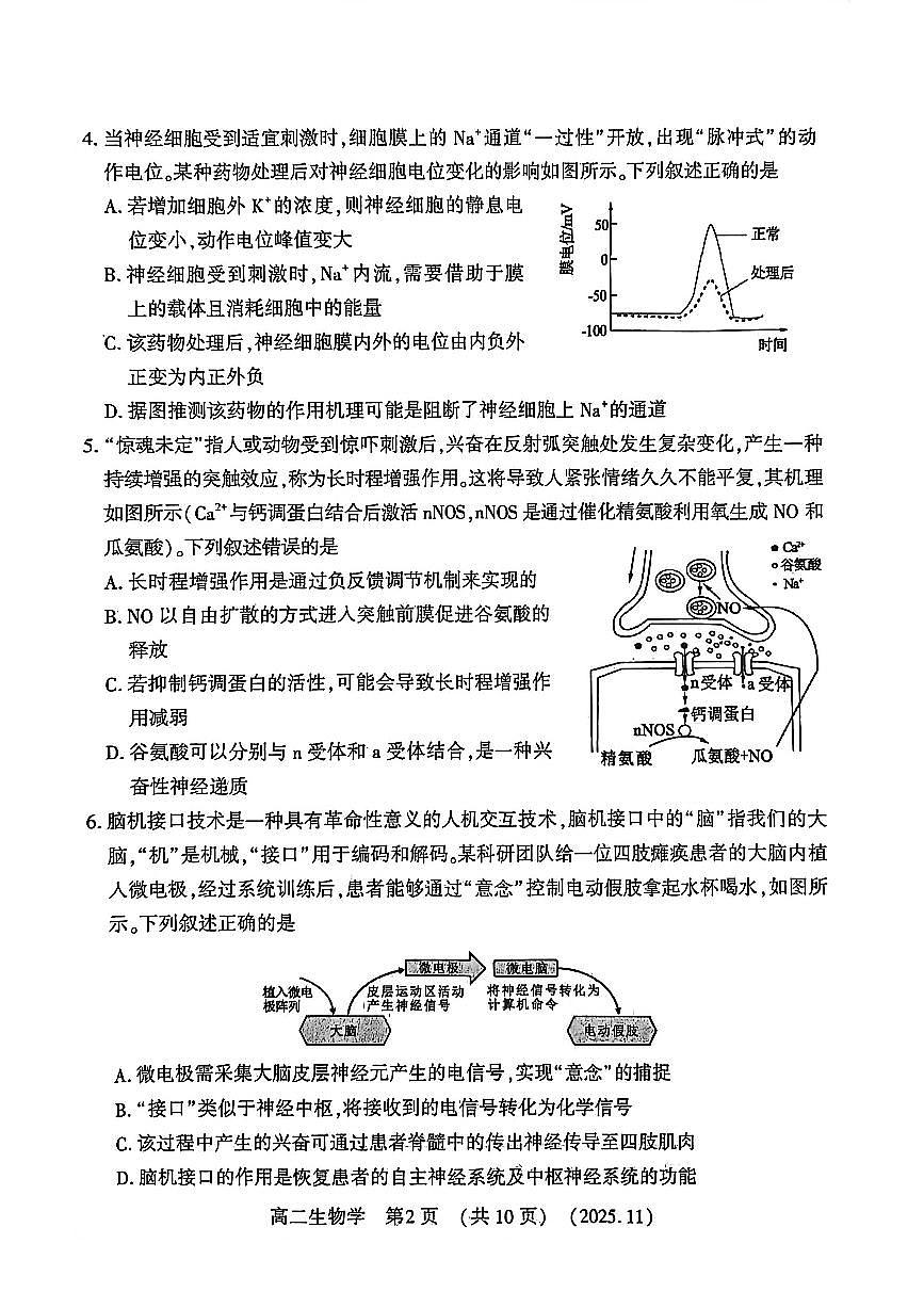 河南省洛阳市2025—2026学年第一学期期中考试高二生物试卷第2页