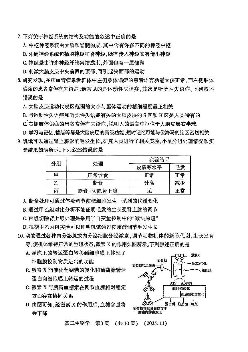 河南省洛阳市2025—2026学年第一学期期中考试高二生物试卷第3页