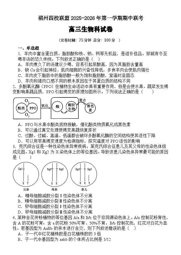 福建省福州市四校联盟2025-2026学年高三上学期期中联考生物试题第1页