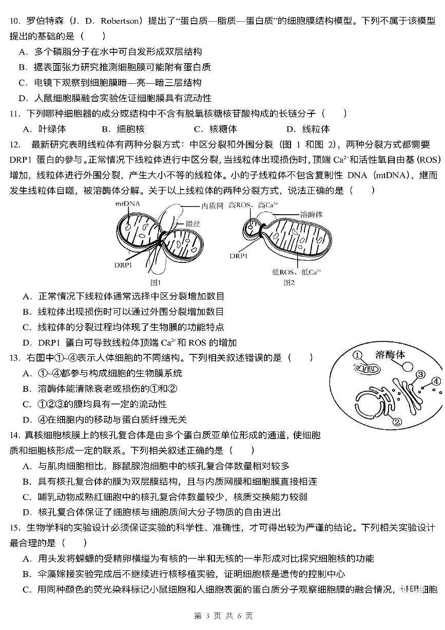 安徽省合肥市第六中学2025-2026学年高一上学期11月期中生物试题第3页