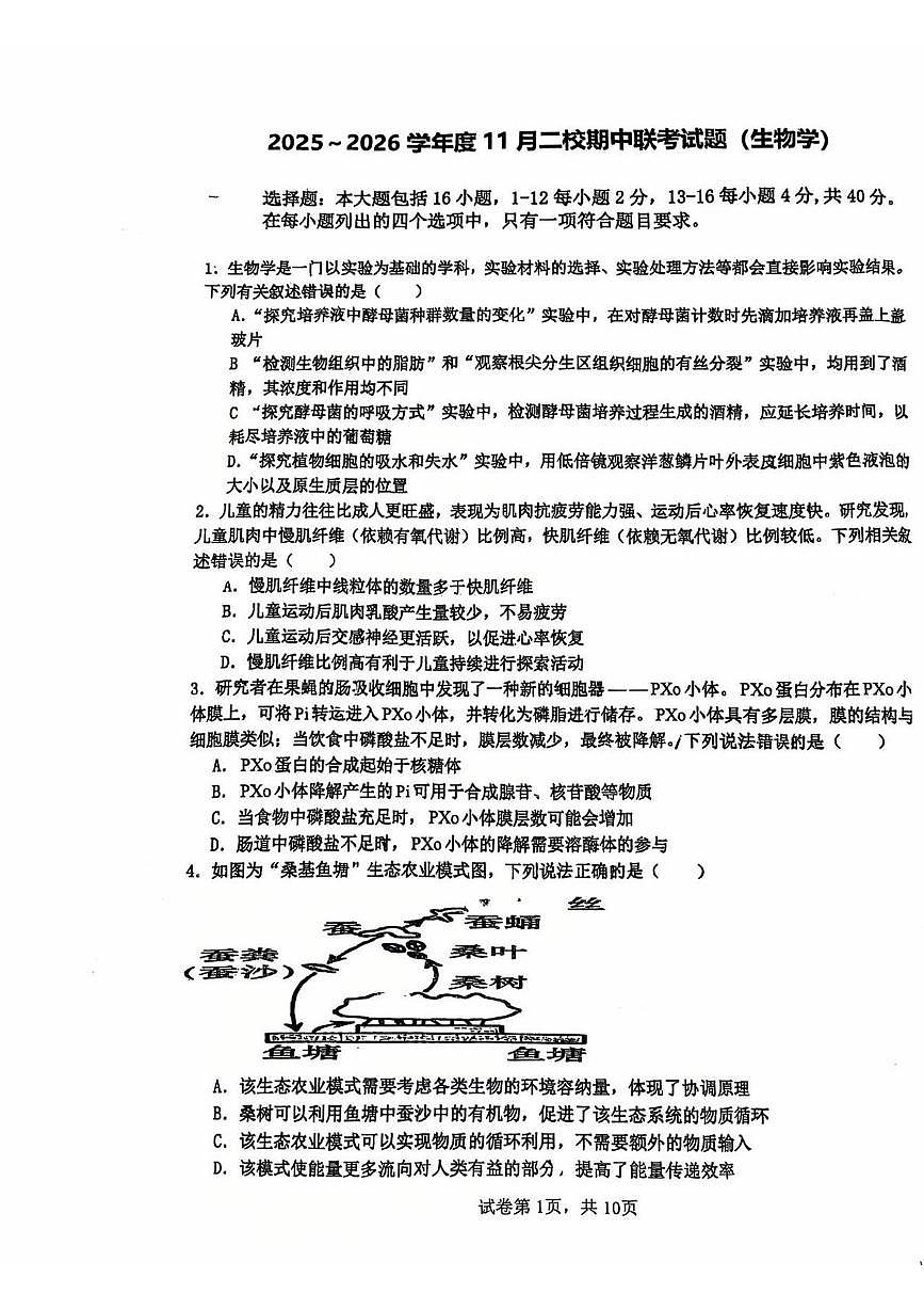 广东省汕头市潮阳第一中学2025—2026学年高一上学期期中考试生物试题第1页