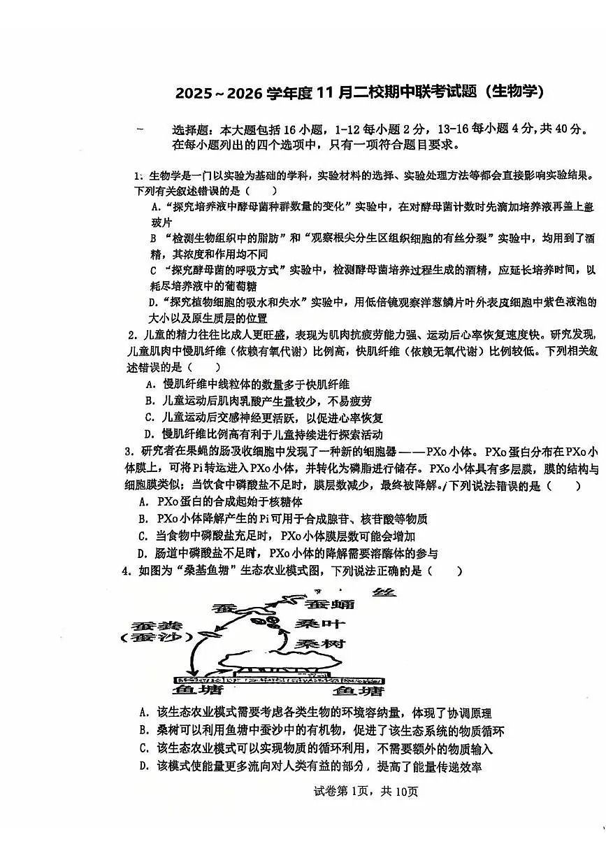广东省汕头市潮阳第一中学2025—2026学年高一上学期期中考试生物试题第1页