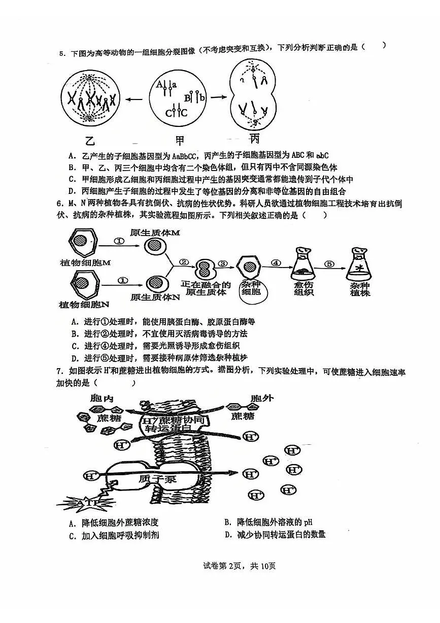 广东省汕头市潮阳第一中学2025—2026学年高一上学期期中考试生物试题第2页