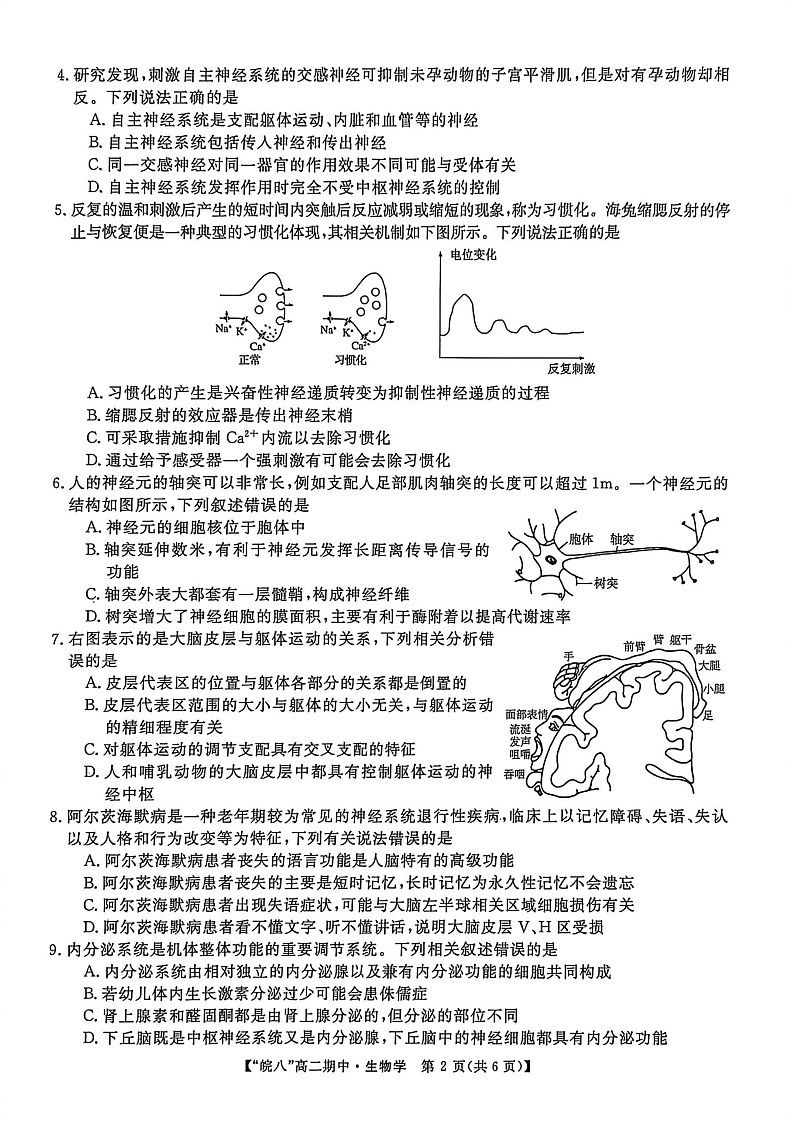 安徽省皖南八校2025-2026学年高二上学期11月期中考试生物试卷第2页