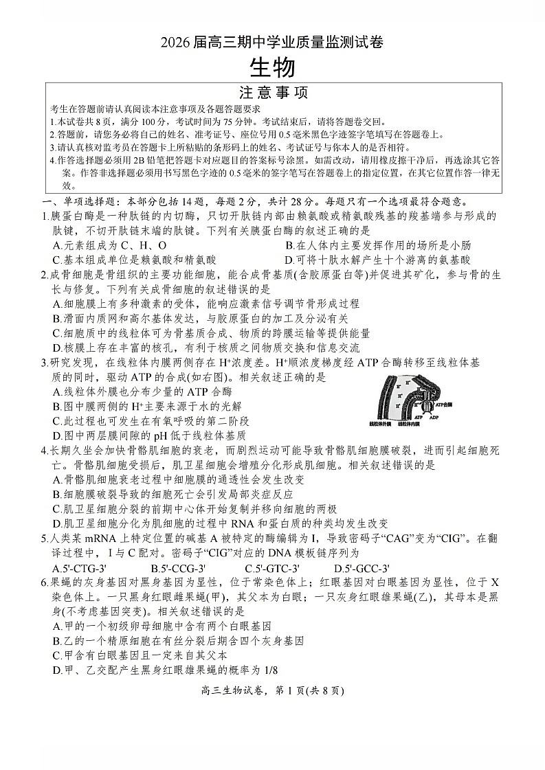江苏省南通市海安市2025-2026学年高三上学期11月期中考试生物试卷第1页