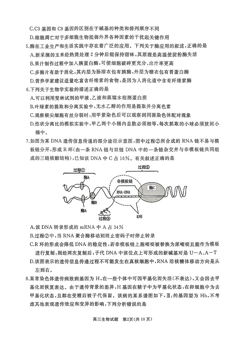 山东省枣庄市滕州市2025-2026学年高三上学期11月期中考试生物试卷第2页