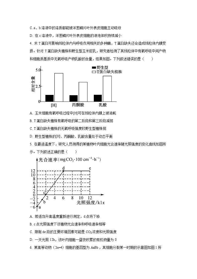 河北省邯郸市2025-2026学年高三上学期期中考试生物（学生版）第2页