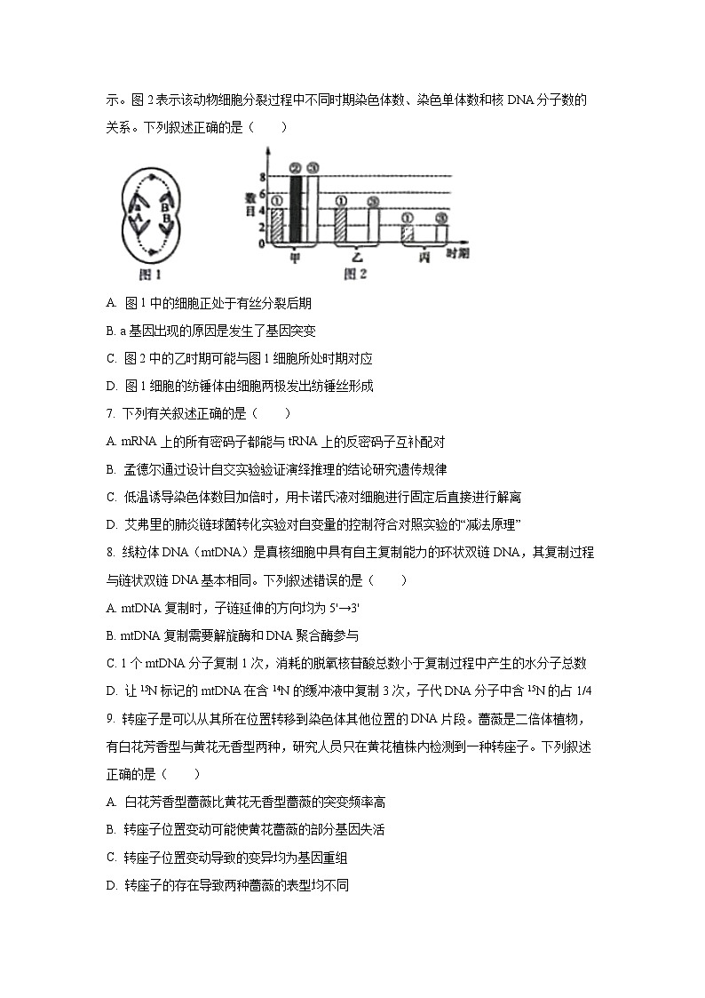 河北省邯郸市2025-2026学年高三上学期期中考试生物（学生版）第3页