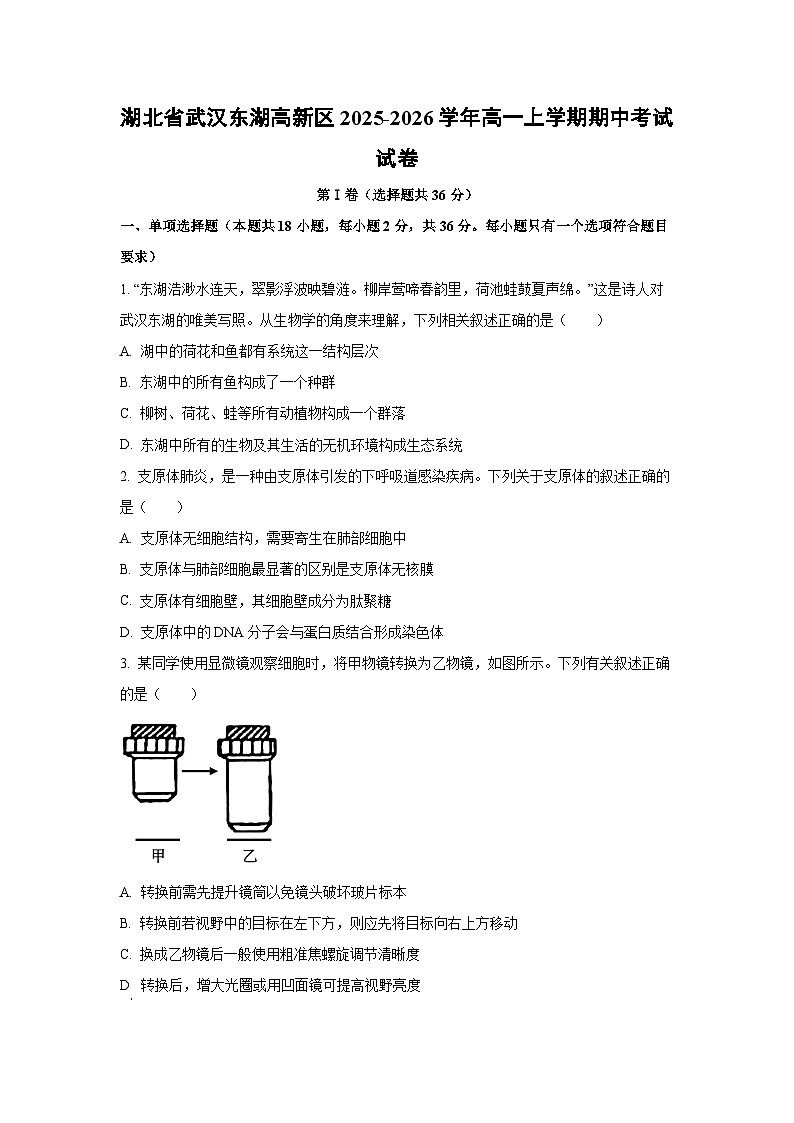 湖北省武汉东湖高新区2025-2026学年高一上学期期中考试生物试卷（学生版）第1页