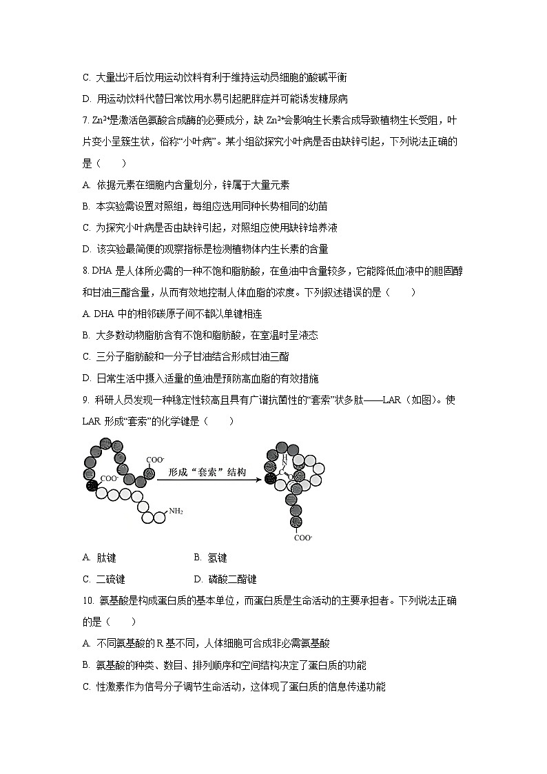 湖北省武汉东湖高新区2025-2026学年高一上学期期中考试生物试卷（学生版）第3页