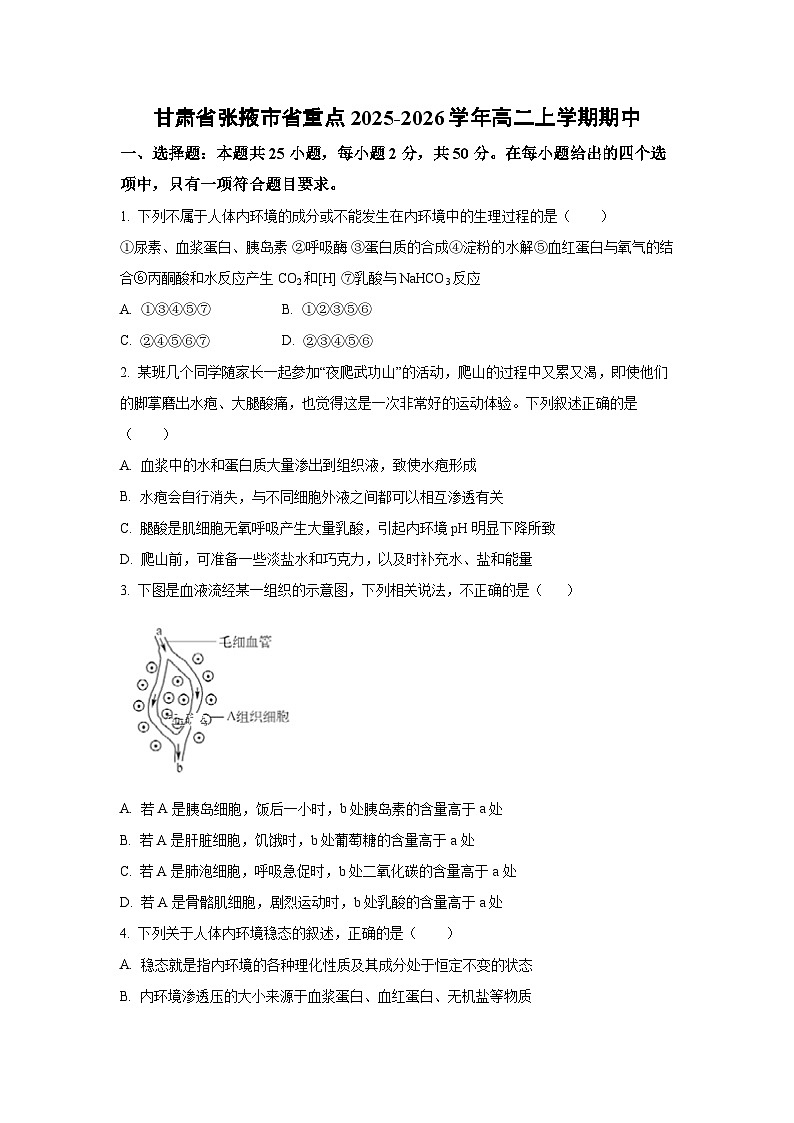 甘肃省张掖市省重点2025-2026学年高二上学期期中生物试卷（学生版）第1页
