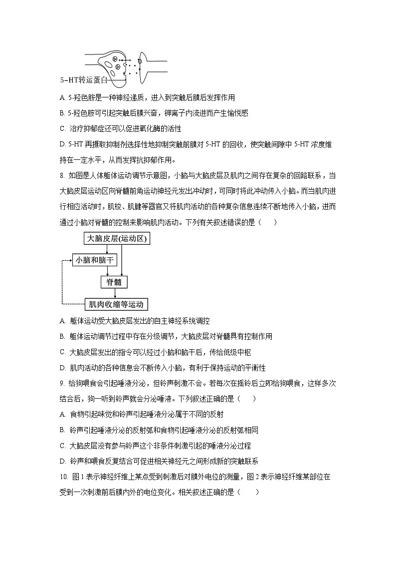 甘肃省张掖市省重点2025-2026学年高二上学期期中生物试卷（学生版）第3页