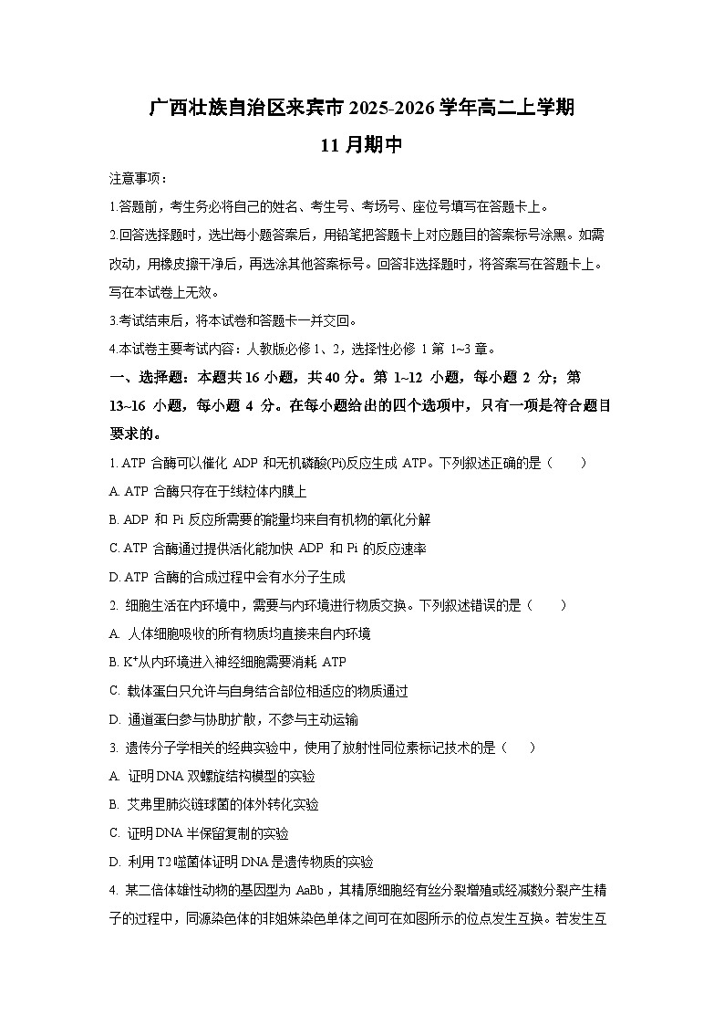 广西壮族自治区来宾市2025-2026学年高二上学期11月期中生物试卷（学生版）第1页