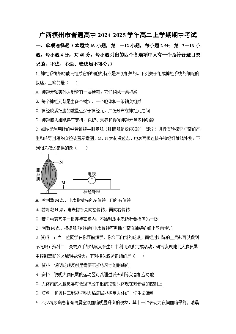 广西梧州市普通高中2024-2025学年高二上学期期中考试生物（学生版）第1页