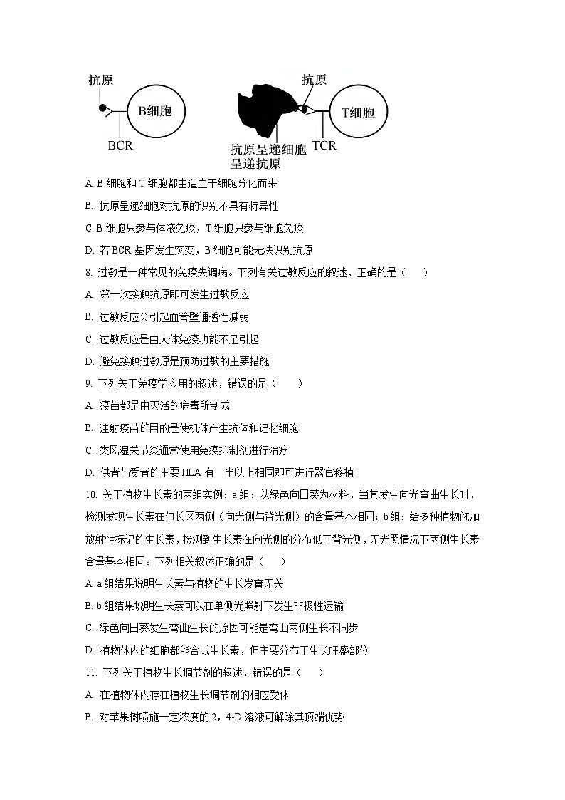 广西梧州市普通高中2024-2025学年高二上学期期中考试生物（学生版）第3页