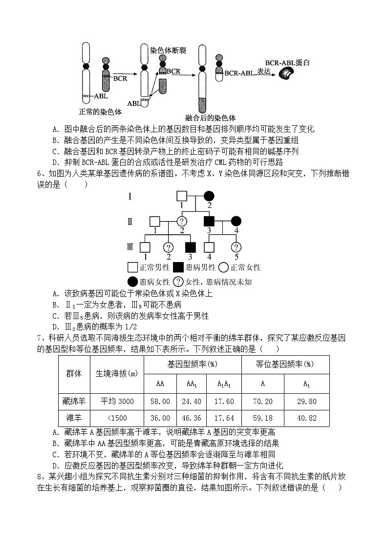 万州二中高2024级期中考试题修改格式版第2页