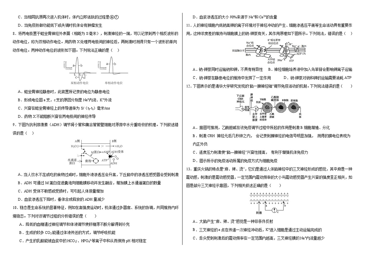 吉林省长春外国语学校2025-2026学年高二上学期期中考试生物试卷（Word版附答案）第2页