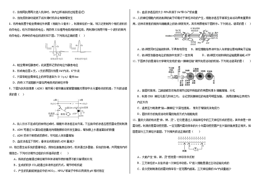 吉林省长春外国语学校2025-2026学年高二上学期期中考试生物试卷（Word版附答案）第2页