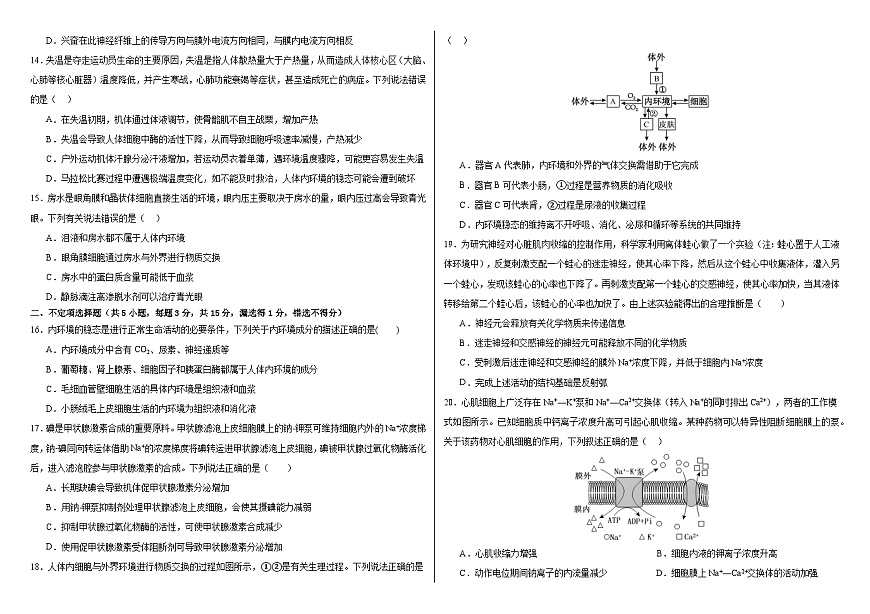 吉林省长春外国语学校2025-2026学年高二上学期期中考试生物试卷（Word版附答案）第3页