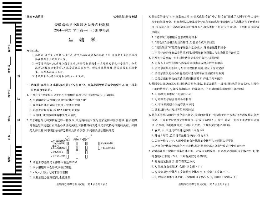 安徽省卓越县中联盟＆皖豫名校联盟2024-2025学年高一下学期期中检测生物（蚌埠专版)试题第1页