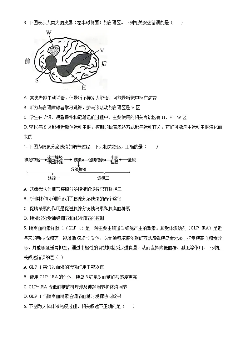 安徽省阜阳市第三中学2024-2025学年高二上学期12月期中生物试题（原卷版）-A4第2页