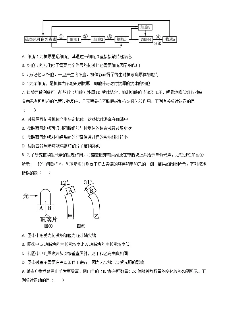 安徽省阜阳市第三中学2024-2025学年高二上学期12月期中生物试题（原卷版）-A4第3页