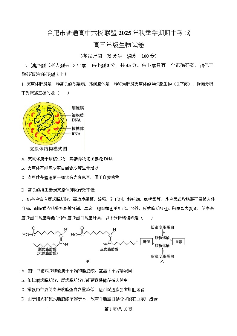 安徽省合肥市高中六校联盟2025-2026学年高三上学期11月期中生物试题 Word版无答案第1页