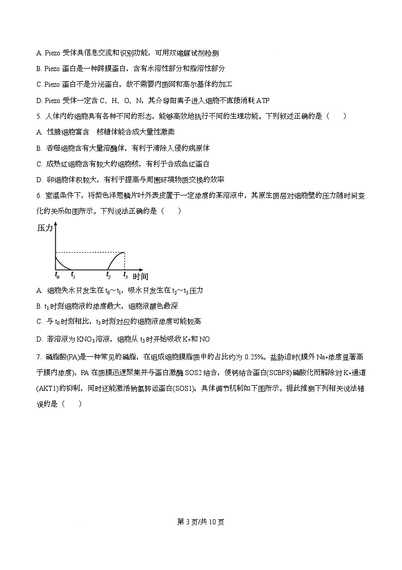 安徽省合肥市高中六校联盟2025-2026学年高三上学期11月期中生物试题 Word版无答案第3页