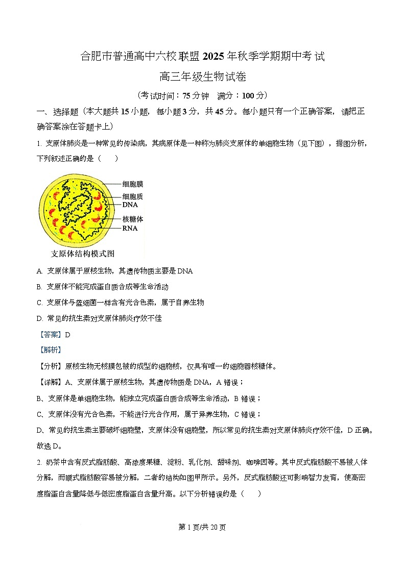 安徽省合肥市高中六校联盟2025-2026学年高三上学期11月期中生物试题 Word版含解析第1页