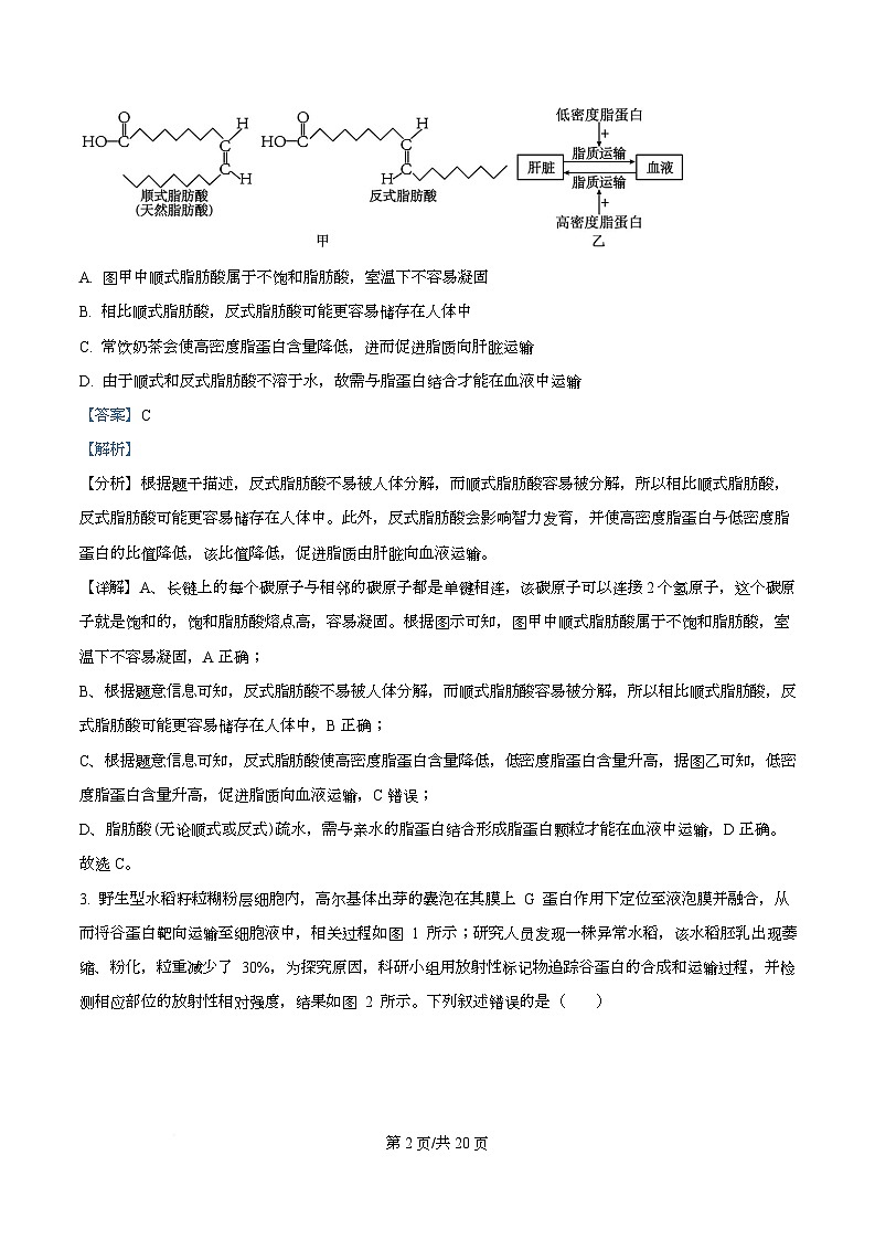 安徽省合肥市高中六校联盟2025-2026学年高三上学期11月期中生物试题 Word版含解析第2页