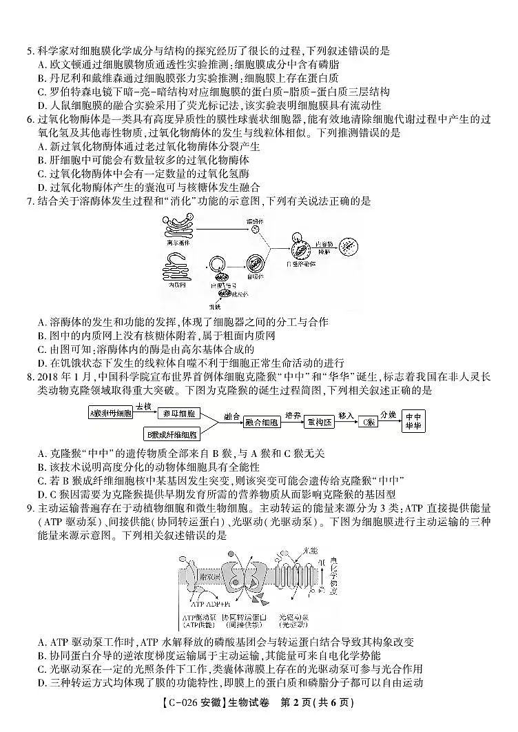 生物试题·2025年11月高三期中联考第2页