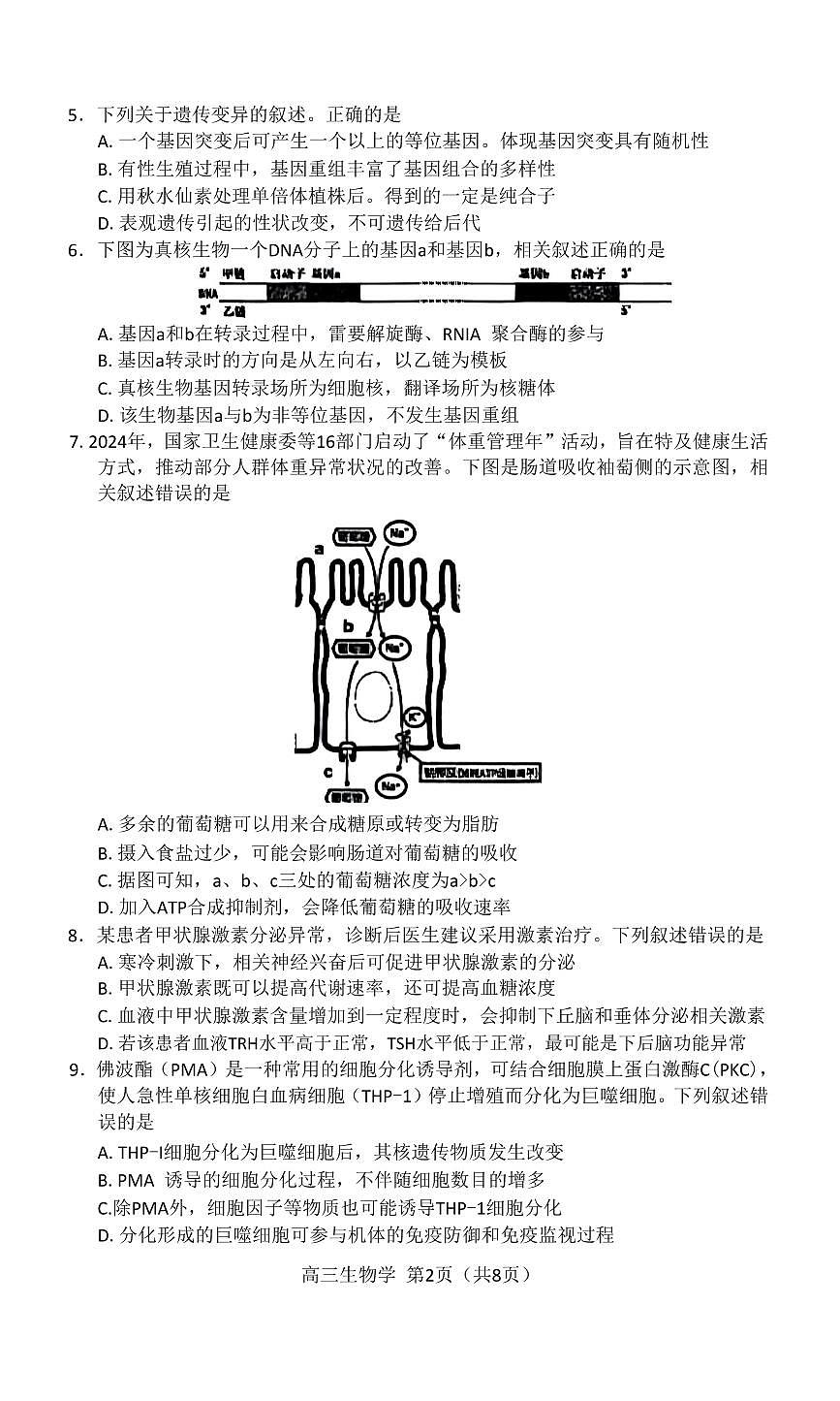 内蒙古赤峰市2026届高三上学期11月第一次模拟生物试题+答案第2页