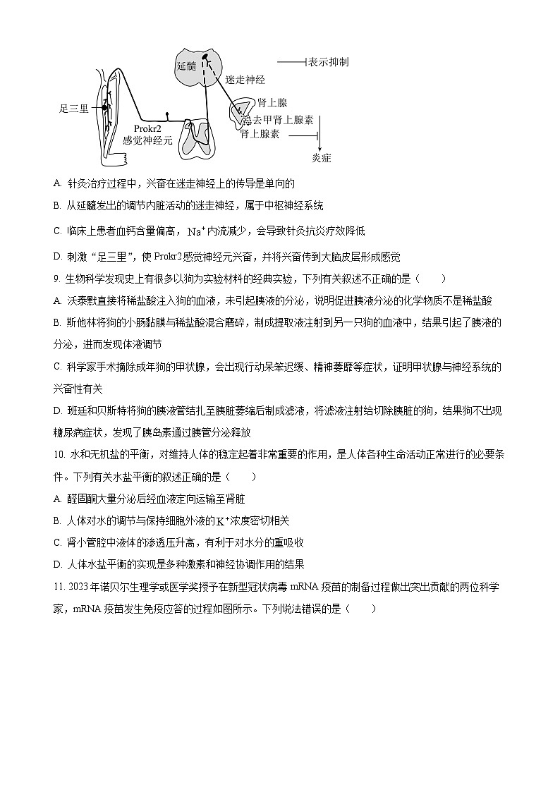 安徽省蚌埠市2024-2025年学年高二上学期期末学业水平监测生物试题（原卷版）-A4第3页