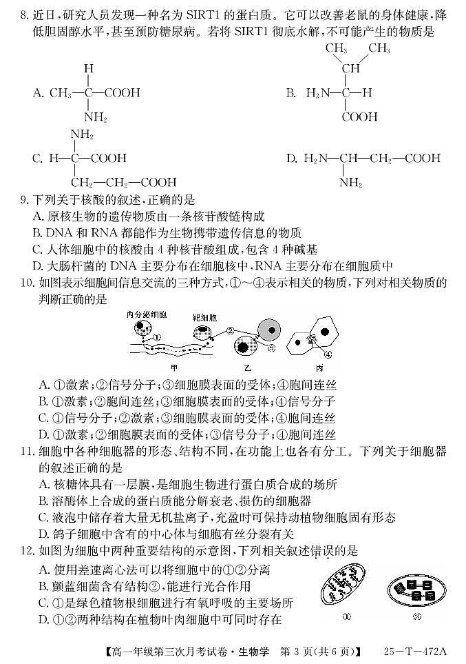 安徽省涡阳县蔚华中学2024-2025学年高一上学期12月月考生物试题第3页