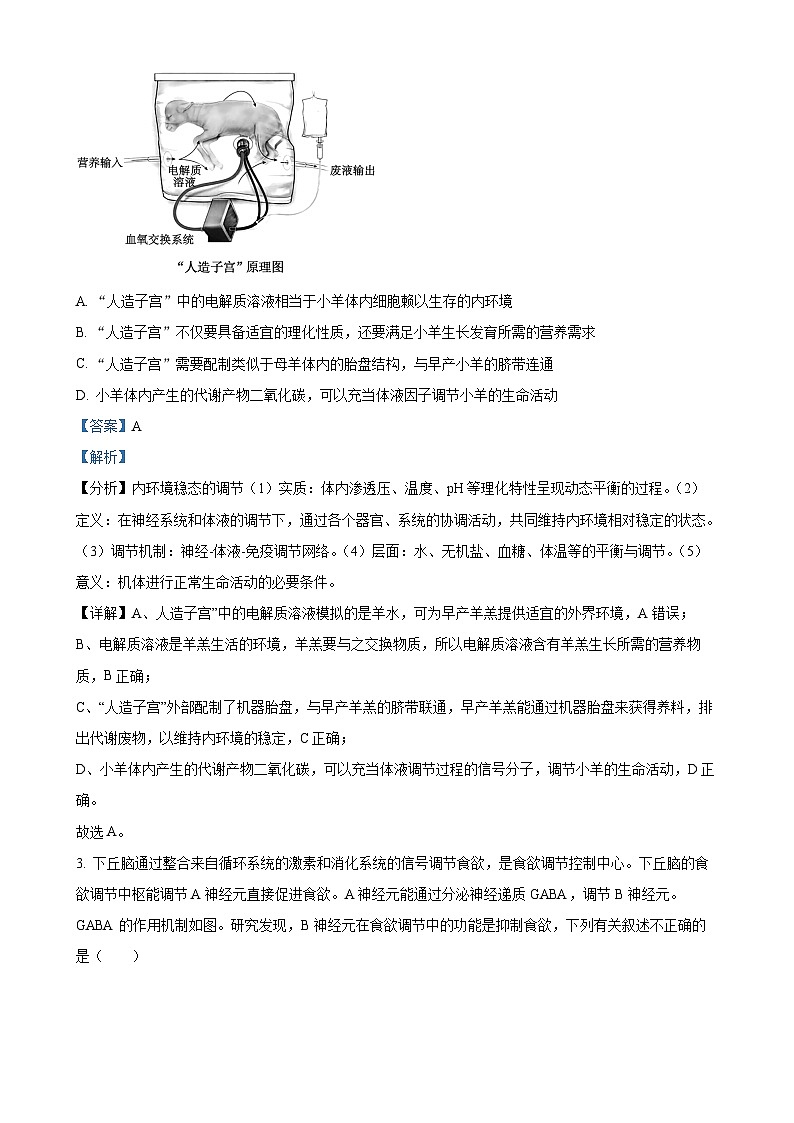 安徽省合肥市合肥第八中学2024-2025学年高二上学期期末生物试题（解析版）-A4第2页