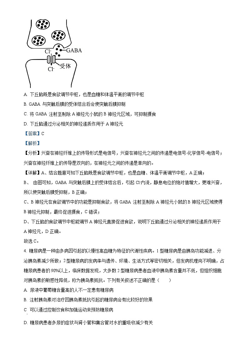 安徽省合肥市合肥第八中学2024-2025学年高二上学期期末生物试题（解析版）-A4第3页