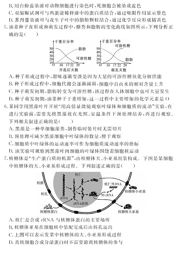 安徽省2025-2026学年高一上学期11月期中考试生物试卷第2页