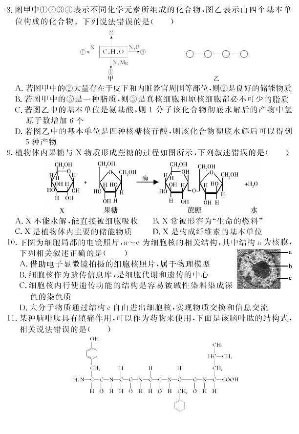 安徽省2025-2026学年高一上学期11月期中考试生物试卷第3页