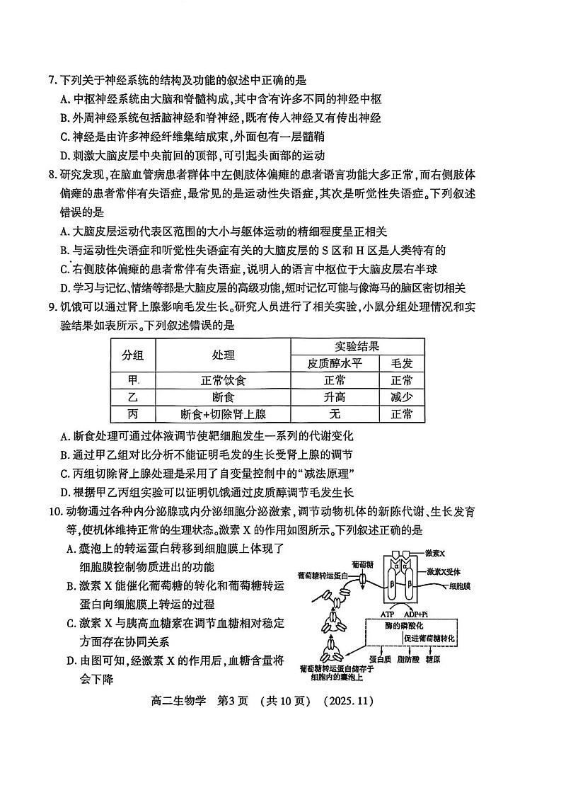 河南省洛阳市2025-2026学年高二上学期11月期中考试生物试卷第3页