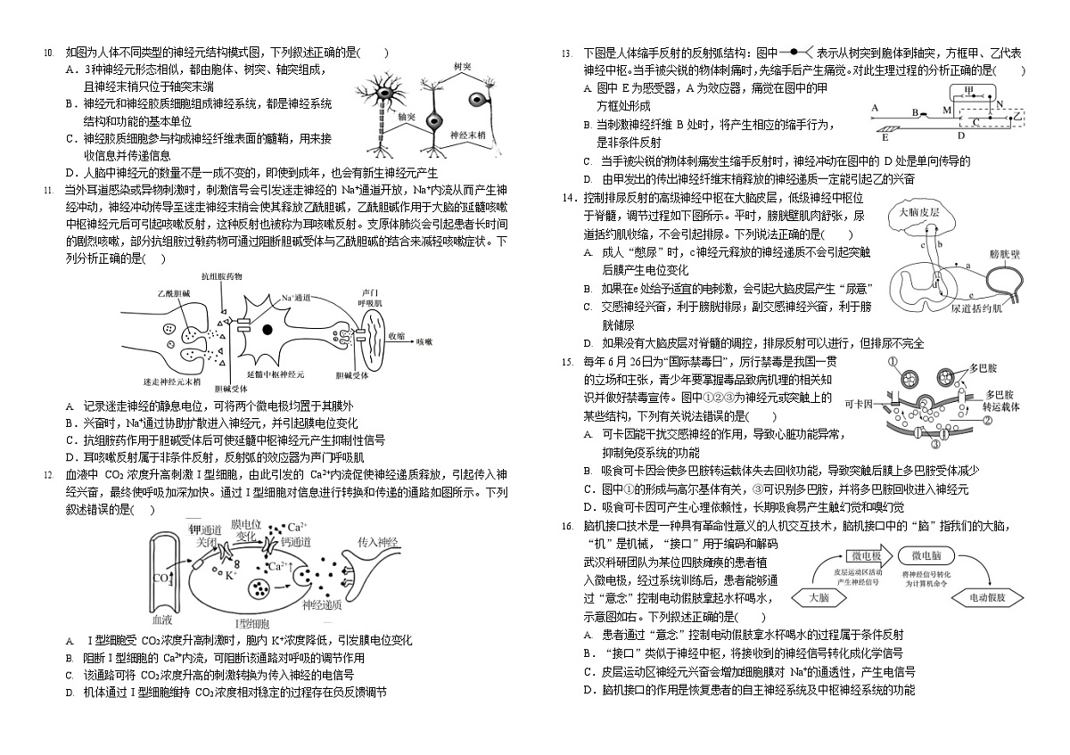 四川省南充高级中学2025-2026学年高二上学期11月期中考试生物试卷第3页