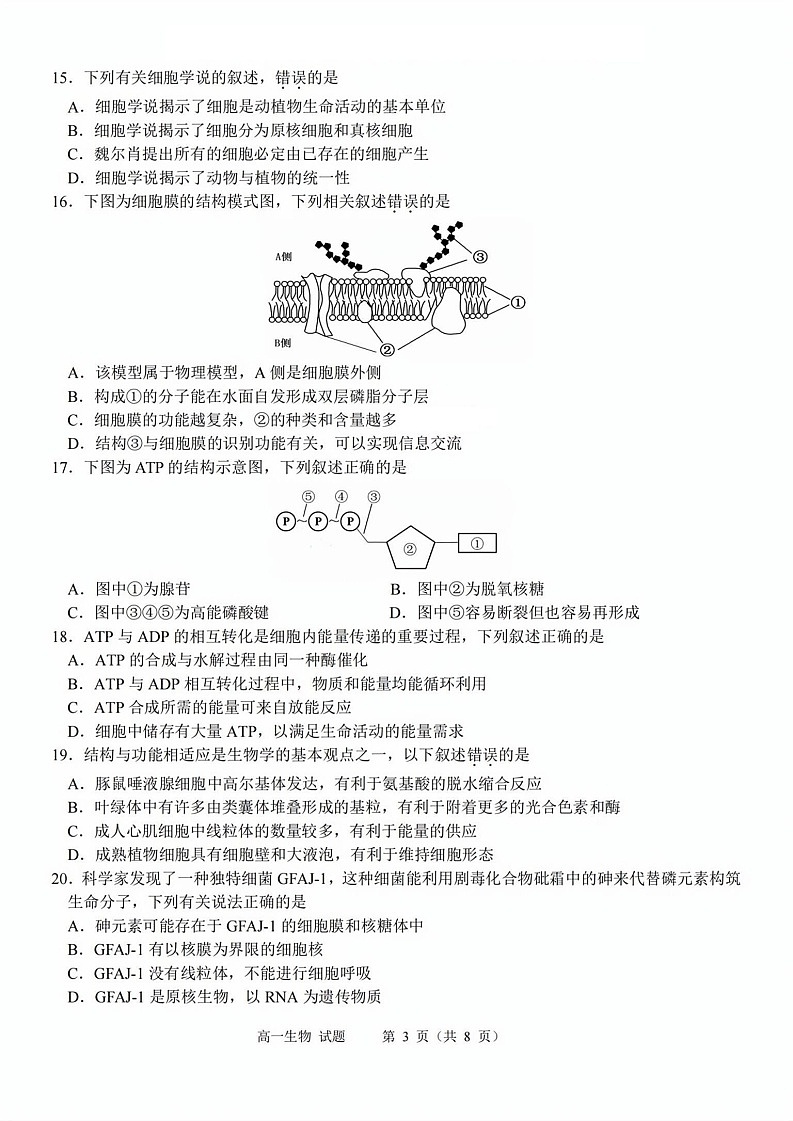 浙江衢州五校联盟2025-2026学年高一上学期11月期中考试生物试卷第3页