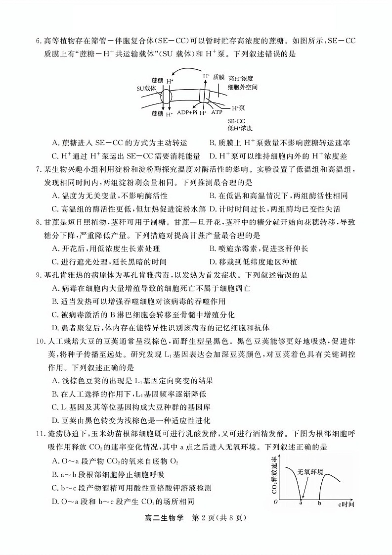 浙江省卓越高中联盟2025-2026学年高二上学期11月期中考试生物试卷第2页