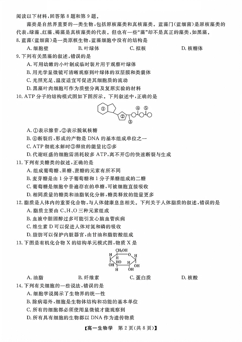 浙江省卓越高中联盟2025-2026学年高一上学期11月期中考试生物试卷第2页