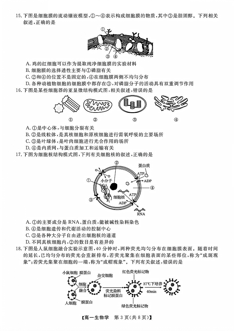 浙江省卓越高中联盟2025-2026学年高一上学期11月期中考试生物试卷第3页