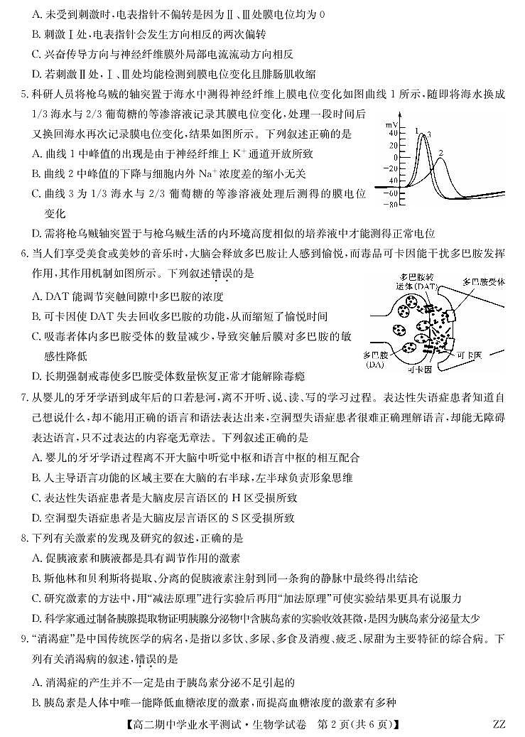 河南省郑州市八校联盟2025-2026学年高二上学期11月期中考试生物试卷（含答案）第2页