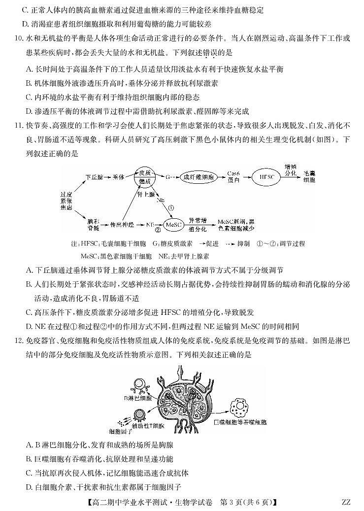 河南省郑州市八校联盟2025-2026学年高二上学期11月期中考试生物试卷（含答案）第3页