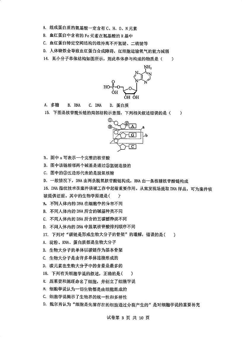 江苏省南京市四校2025—2026学年高一上学期期中联考生物试卷第3页