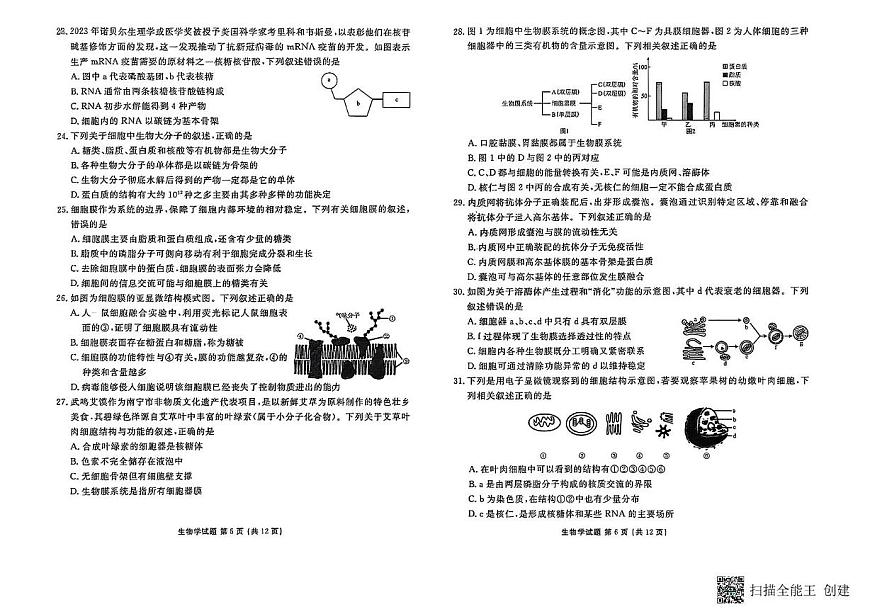 河北枣强中学2025-2026学年高一上学期期中考试生物试题第3页