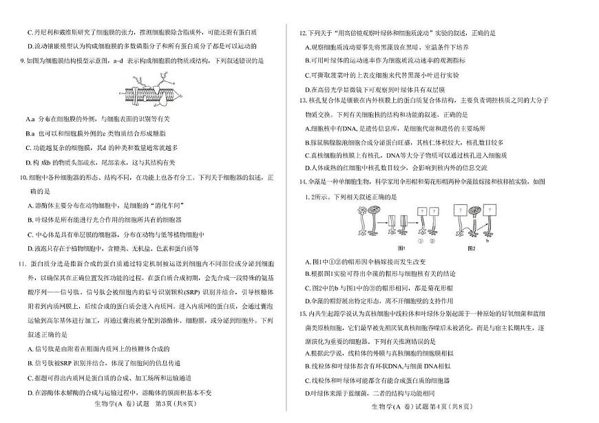 河南省天一联考2025-2026学年高一上学期11月期中生物试题第2页