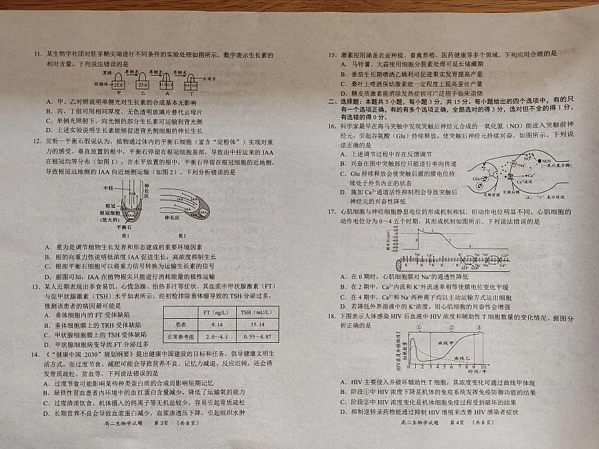 山东省日照市2025-2026学年高二上学期期中考试生物试题第2页